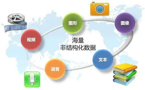 技能成就人生丨移动互联网应用技术专业 网络技术开发