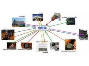 物联网新纪元 赛亿科技引领网络技术开发与创新解决方案